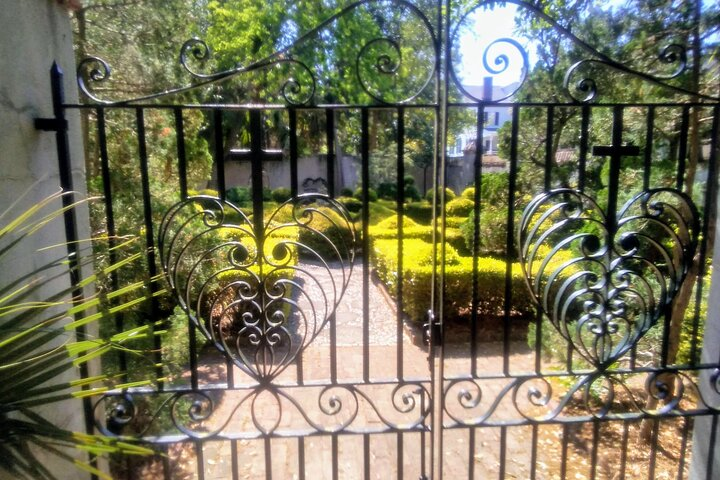 Frankly Charleston Morning Walking Tour  - Photo 1 of 7